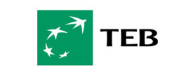 Teb